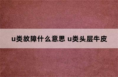 u类故障什么意思 u类头层牛皮